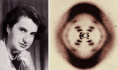 /album/fotogaleria/adn-gif/